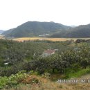 국제농장 이미지