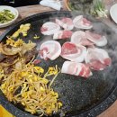 숙향뒷고기삼겹살전문