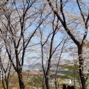 삼삼오주 이미지