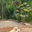 수월산방 이미지