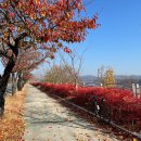 건무도장 | 자전거 국토종주 끊어치기 칠곡보에서 구미보까지 2탄(구미보 왕복)