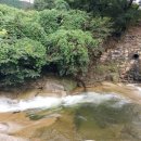 두마농장 이미지