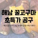 해남 꿀고구마 베니하루카 5kg 공동구매 이벤트 고구마 다이어트
