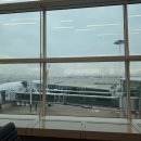 우연식품 | 2026 도쿄 식품박람회 후기 &amp; 쇼핑리스트!