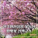 카페인디스트릭트