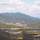 죽장면 참느리 이미지