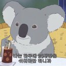 썰풀고전먹고 | 소개 + 93회 AFPK 합격 후기(준비기간, 총비용, 응시...합격, 라이센스비용, 공부 썰, 점수공개, 해커스)