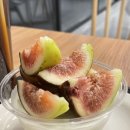 조아컴 이미지
