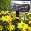 위례도서관 1층 이미지