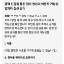 양자파