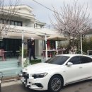 미스터고트 이미지