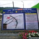 마량 5일시장(마량놀토시장) 이미지