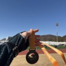 진남체육공원 진남테니스장 | [마라톤후기] 2026 여수 해양마라톤 하프코스 #여수마라톤