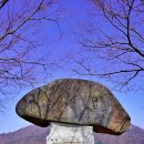 유니온파크 이미지