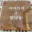 아어가지 이미지