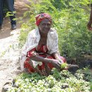 미나목장 이미지