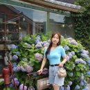 토베더 이미지