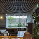 잠보호텔 | 여행] Day.3,4 크리스마스를 가고시마에서🎄 (센간엔, 잠보모찌, 오코노미야키 카모가와, 시오라멘)