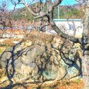 고죽1리 이미지