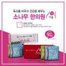 소나무한의원 이미지