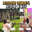 가을 보성여행 보성차밭 체험 여래여거 보성애물들다