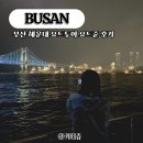 준 | 비 오는 날 요트투어 낭만 넘치는 불꽃놀이 해운대 요트준 탑승 후기