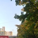 (CJS익스프레스) 이미지