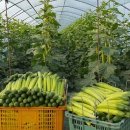 명성축산영농조합법인 이미지