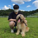 대동동물병원 이미지