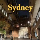 해돋이호스텔 | 시드니 게스트 하우스 추천｜YHA Sydney Harbour 후기- 가성비 최고 호스텔 위치·가격·시설 총정리!