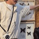 영암매점 | 영암 곤충박물관 솔직후기