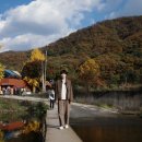 포천 서운동산 가을 단풍놀이 숲 속 호수 정원 베이비팜 동물먹이체험 농장