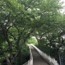 덕신공원 2 이미지