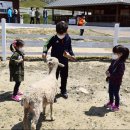 정현목장 이미지