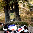 패밀리바이크 이미지