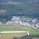 비금초등학교 이미지