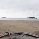 사염 네이버블로그