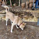 우영농장 이미지