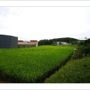 용주서원 이미지