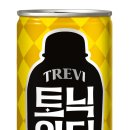 트레비 이미지