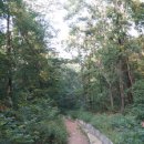 물푸레 북카페 이미지