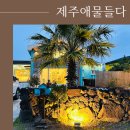 제주서쪽감성숙소 제주애물들다 | 제주도 서쪽 아이랑 가기 좋은 감성 숙소 제주애물들다