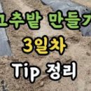 더블윈 | Day 3. 고추밭 만들기 3일차 – 밑거름, 관수, 멀칭까지 한 번에!