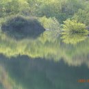 화강목장 | 상왕산 개심사