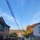 쌍다리돼지불백 양재점 | 성북동 데이트코스 쌍다리돼지불백 본점 블루리본 성북동맛집 추천 내돈내산 후기