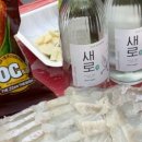 마파도회