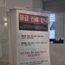 메이 동물병원 | 전주야간진료동물병원) 전주메이동물병원 일요일 야간진료 후기 #전주24시동물병원 #메이동물메디컬센터