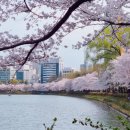 잠일초등학교(내) | [부동산 #5] 서울 잠실 아파트 부동산 임장 후기 (1) -잠실 엘스아파트