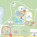 제 14회 대구 장거리 수영대회 후기 (인생 첫 수영대회/1.5km)