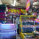 차면횟집